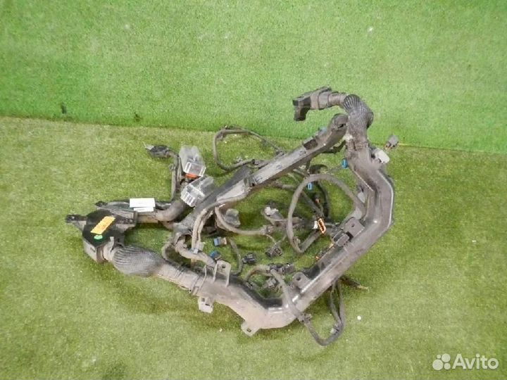 Проводка подкапотная Genesis G90