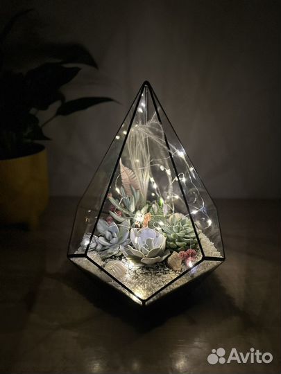 Флорариум с суккулентами