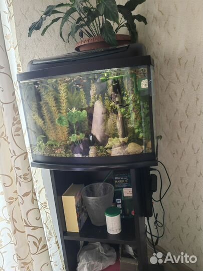 Аквариум с тумбой