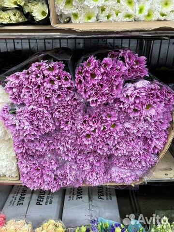 Хризантема кустовая букет цветы доставка девушке