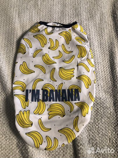 Одежда для собак