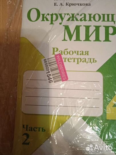 Рабочая тетрадь окружающий мир 4 класс