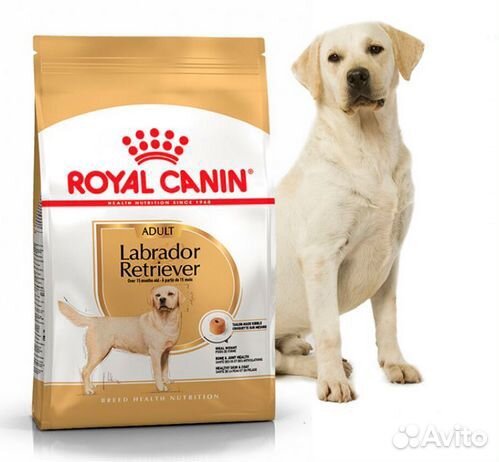 Royal Canin Labrador retriever 13 кг