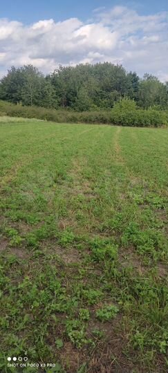 Участок 15 сот. (ИЖС)