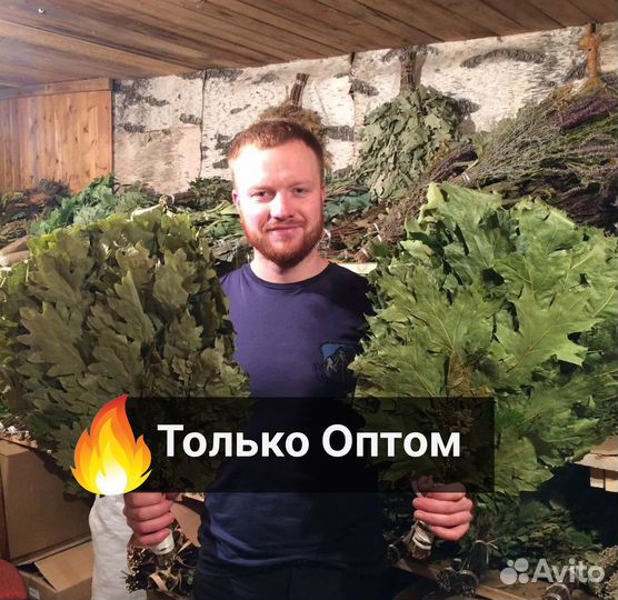Веники для бани Только оптом от 100шт