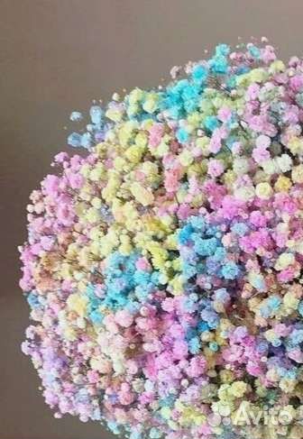 Гипсофила радужная