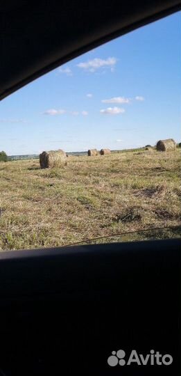 Сено. Солома