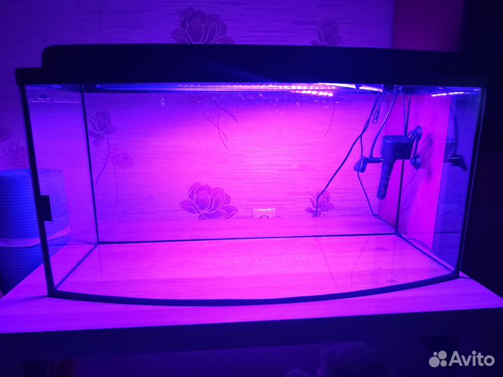 Террариум + оборудование
