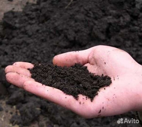 Чернозем с доставкой от 1 m3