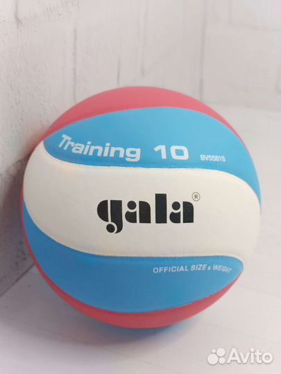 Волейбольный мяч