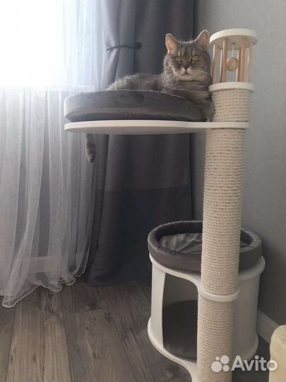 Когтеточка с домиком