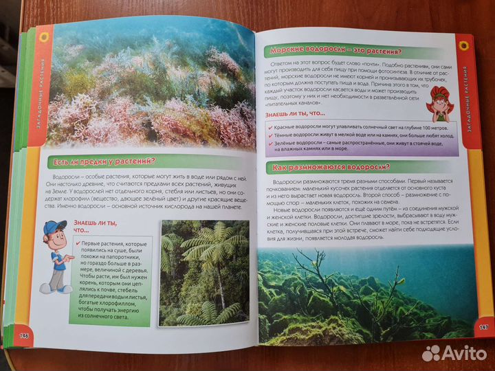 Большая детская энциклопедия