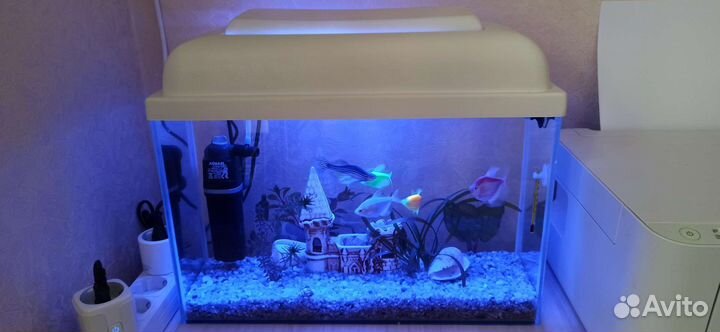 Аквариум