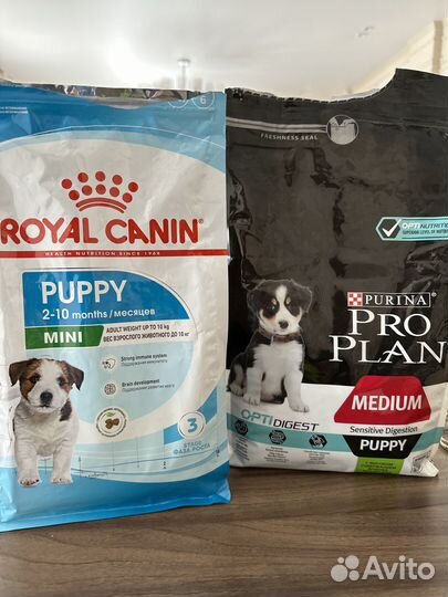 Сухой корм для собак