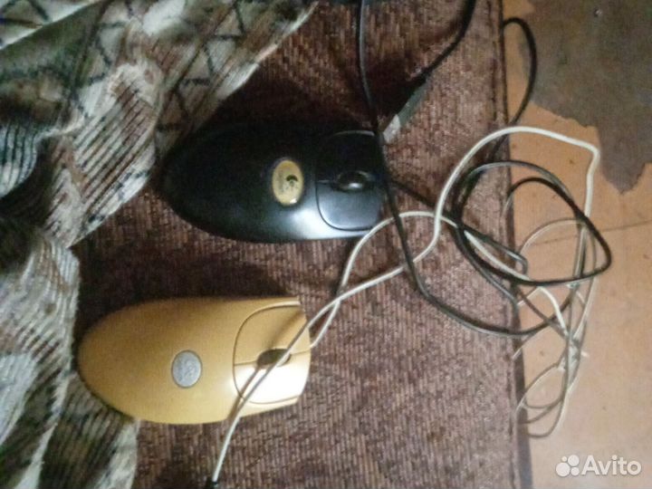 Компьютерная мышь
