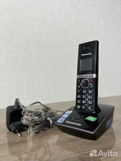 Panasonic
