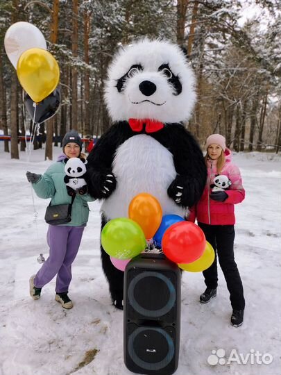 Поздравление Медведь, Лиса, Панда и Кот