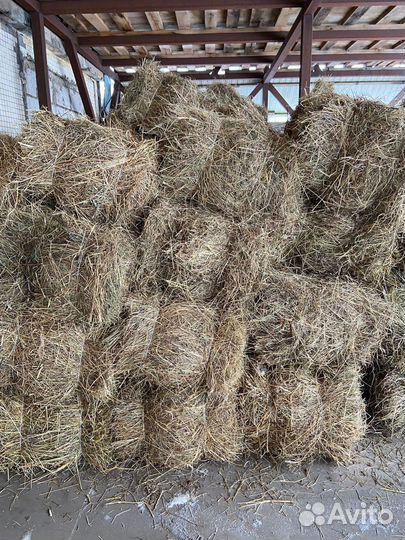 Сено в тюках опт и розница