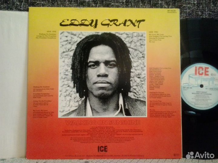 Виниловая пластинка Eddy Grant (walking.)