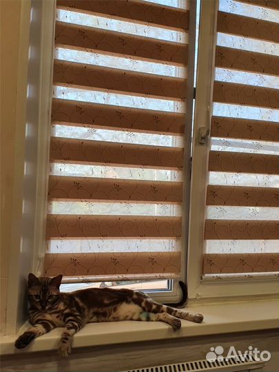 Рулонные шторы день ночь