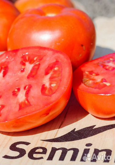Семена Томата 