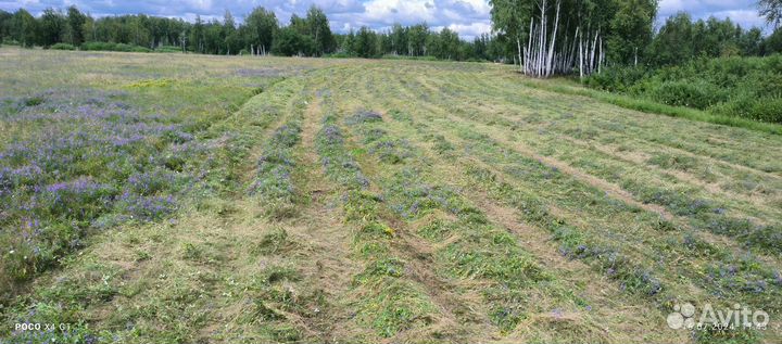 Продам сено в рулонах