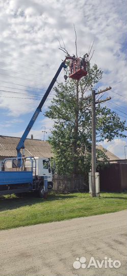 Услуги манипулятора