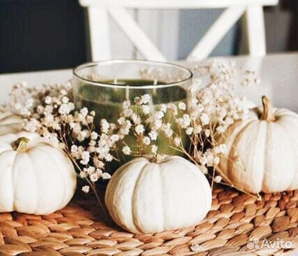 Тыква декоративная белая