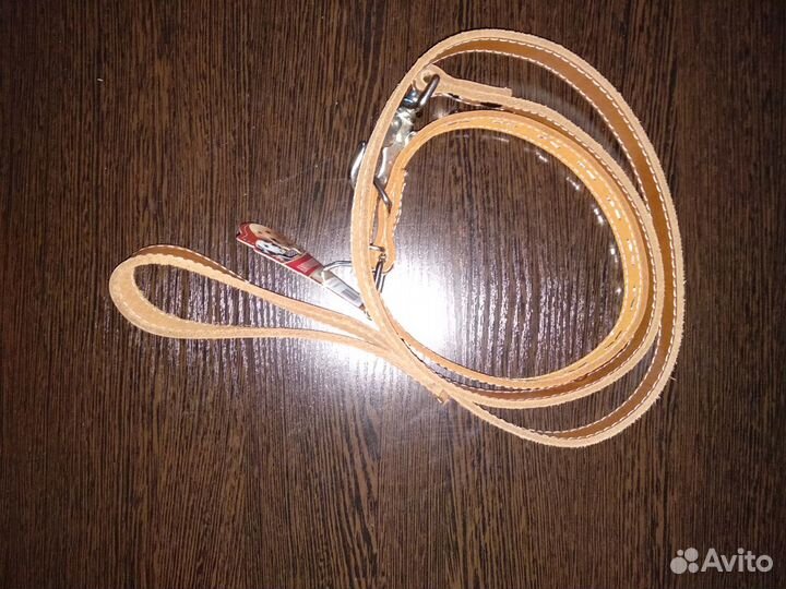 Ошейник для собаки с поводком