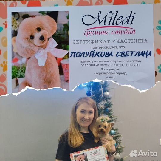 Услуги грумера