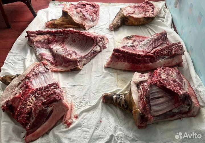Продам мясо свинина