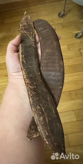 Огромные стручки акации и др