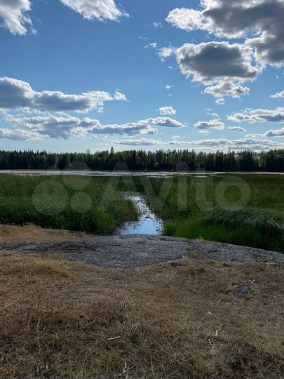 Участок 10 сот. (ИЖС)