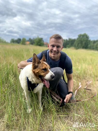 Собака не для слабака из приюта