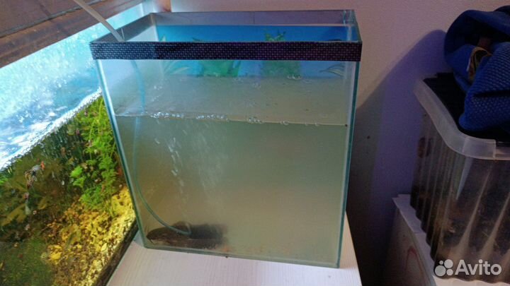 Аквариум