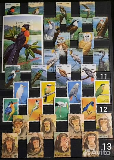 Коллекция фауна 60-90х 4 (чистые )