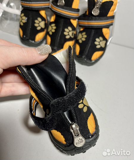 Обувь для собак