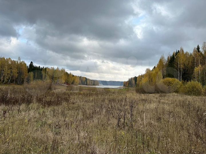 Участок 100 сот. (СНТ, ДНП)