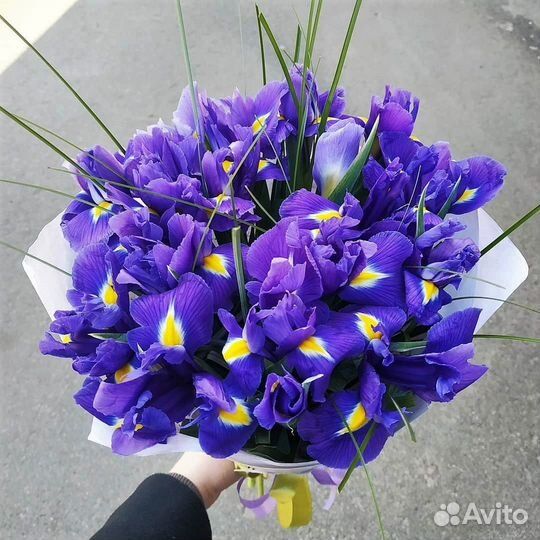 Букеты из Свежих Ирисов