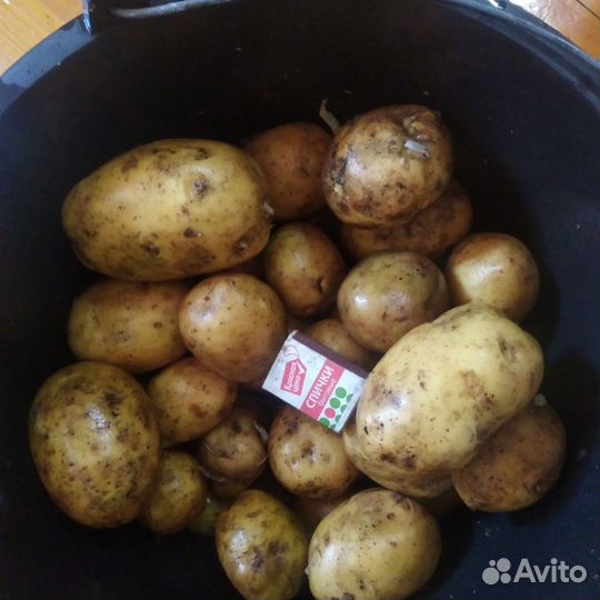Картофель