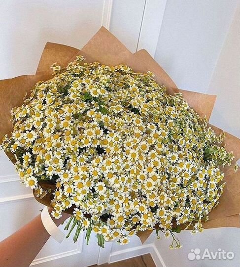 Доставка цветов. Ромашки