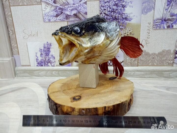 Чучело головы щуки и судака