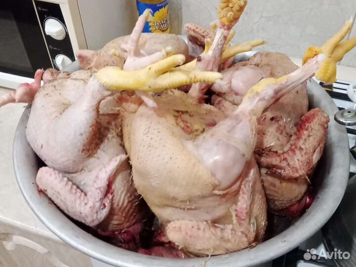 Мясо броллера
