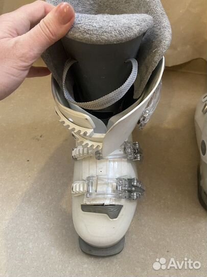 Горнолыжные ботинки dalbello