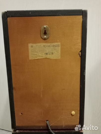 Колонки 10 ас 225