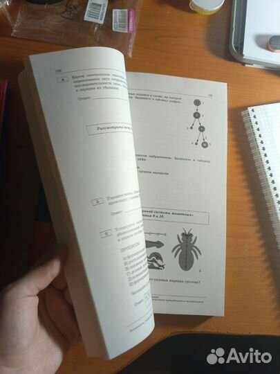 Сборник рохлова ЕГЭ 2024 по биологии