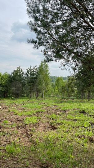 Участок 11,1 сот. (ИЖС)