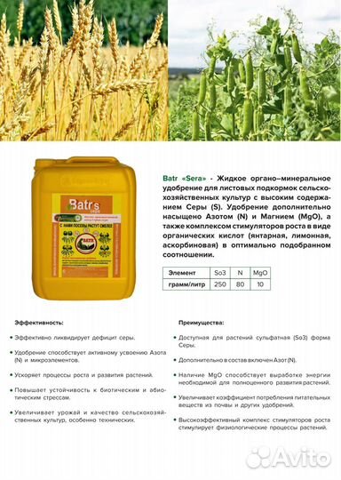 Batr S-сера