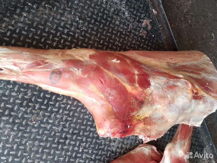 Мясо телятина постная