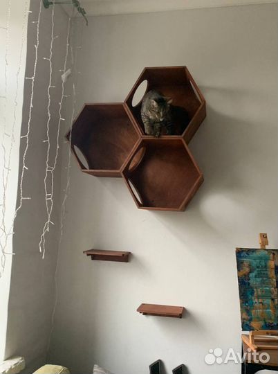 Модульный комплекс для Кошки